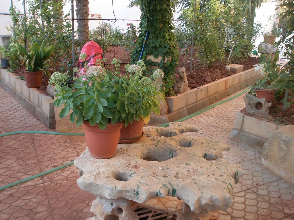 Hostal Los Rosales Alcaraz Room photo